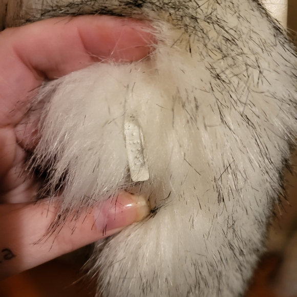 SOLD - Picture 2 of 7